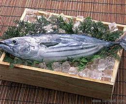 探尋可靠源頭 水產品批發優質貨源與供應信息全攻略