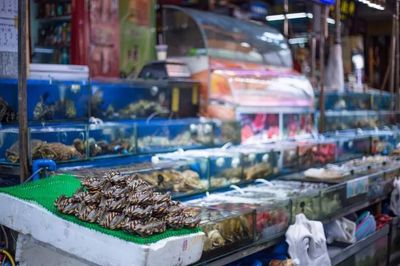 十萬“水軍”晝夜不息的傳奇謝幕 全國最大水產品批發市場的搬遷與日用百貨銷售的轉型