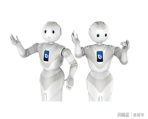中國(guó)服務(wù)機(jī)器人技術(shù)研發(fā) 推動(dòng)下一代城市對(duì)話與產(chǎn)業(yè)共生